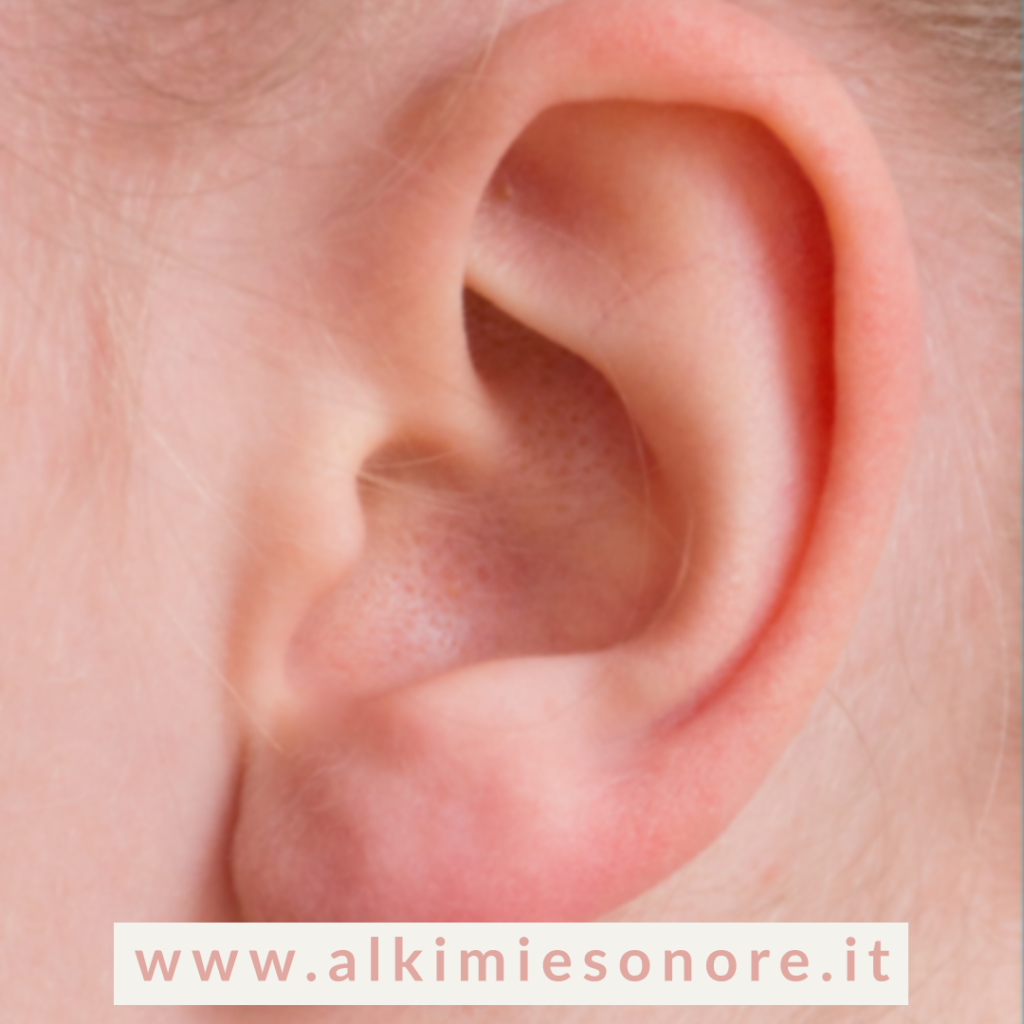 L'apparato vestibolare dell'orecchio interno